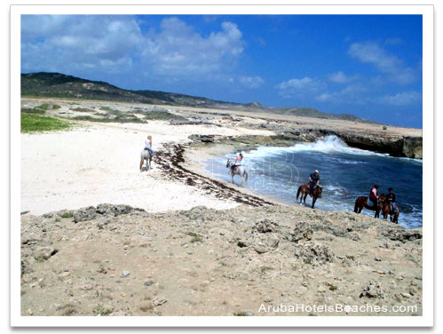 Aruba_Horseback_Riding1