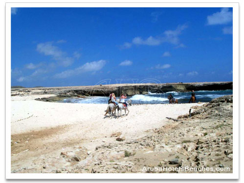 Aruba_Horseback_Riding3