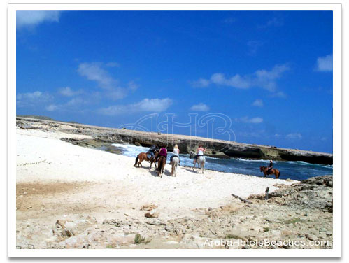 Aruba_Horseback_Riding2